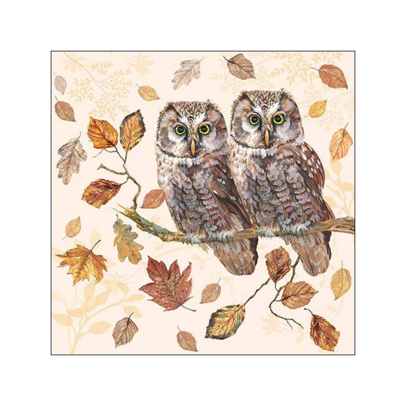 TOVAGLIOLI 33x33 COPPIA GUFI 20pz