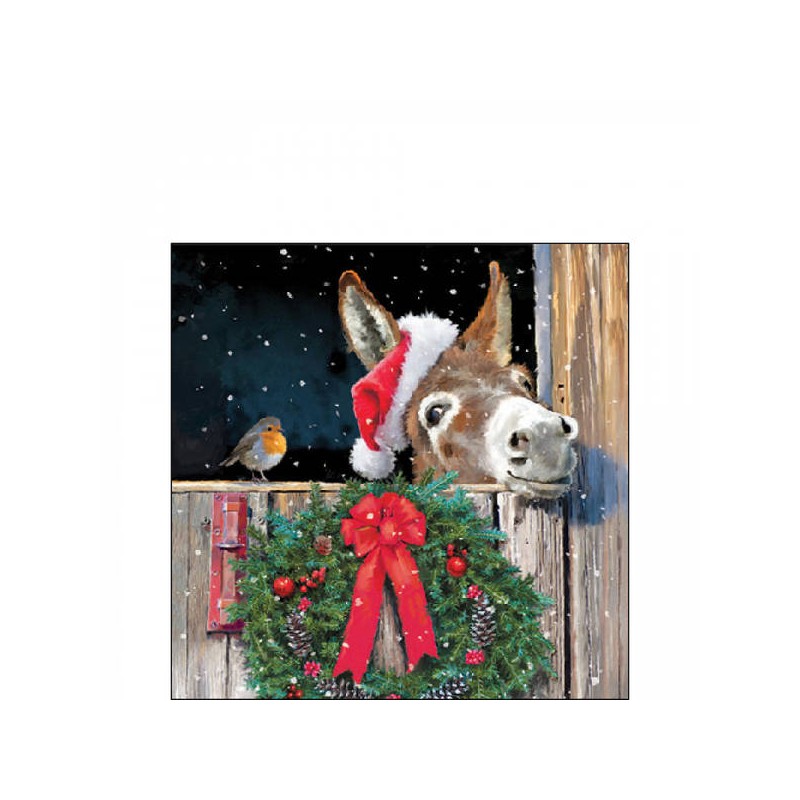 TOVAGLIOLI 25x25 FRIENDS WITH DONKEY 20pz