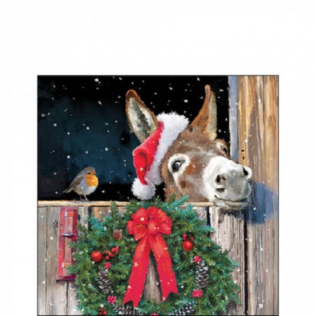 TOVAGLIOLI 25x25 FRIENDS WITH DONKEY 20pz