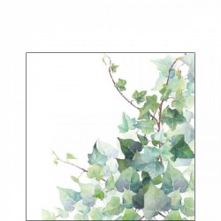 TOVAGLIOLI 25x25 HEDERA WHITE 20pz