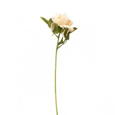 FIORE PEONIA C/STELO 50cm AVORIO