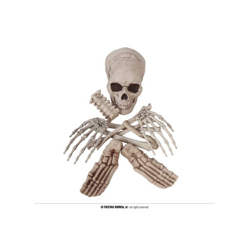 CONFEZIONE CON 12 OSSA