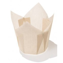 PIROTTINI TULIP 50x50mm H.72mm ECRU 120pz