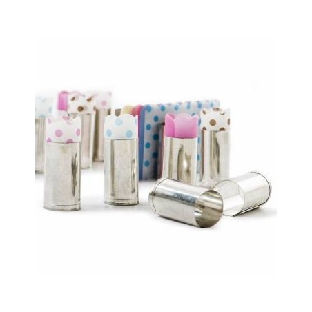 FORMA INOX CARTUCCIA 2,4x4,5cm +50 CARTINE