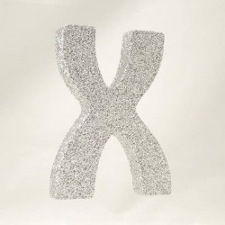 LETTERA POLISTIROLO GLITTER ARGENTO mm120x90 X