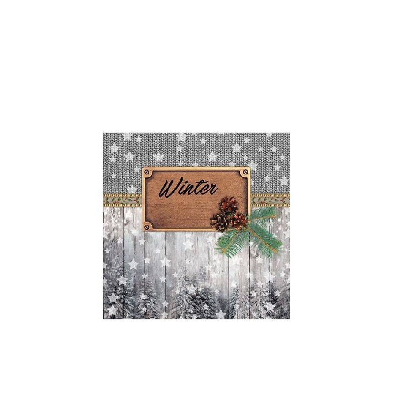 TOVAGLIOLI 25x25 WINTER 20pz