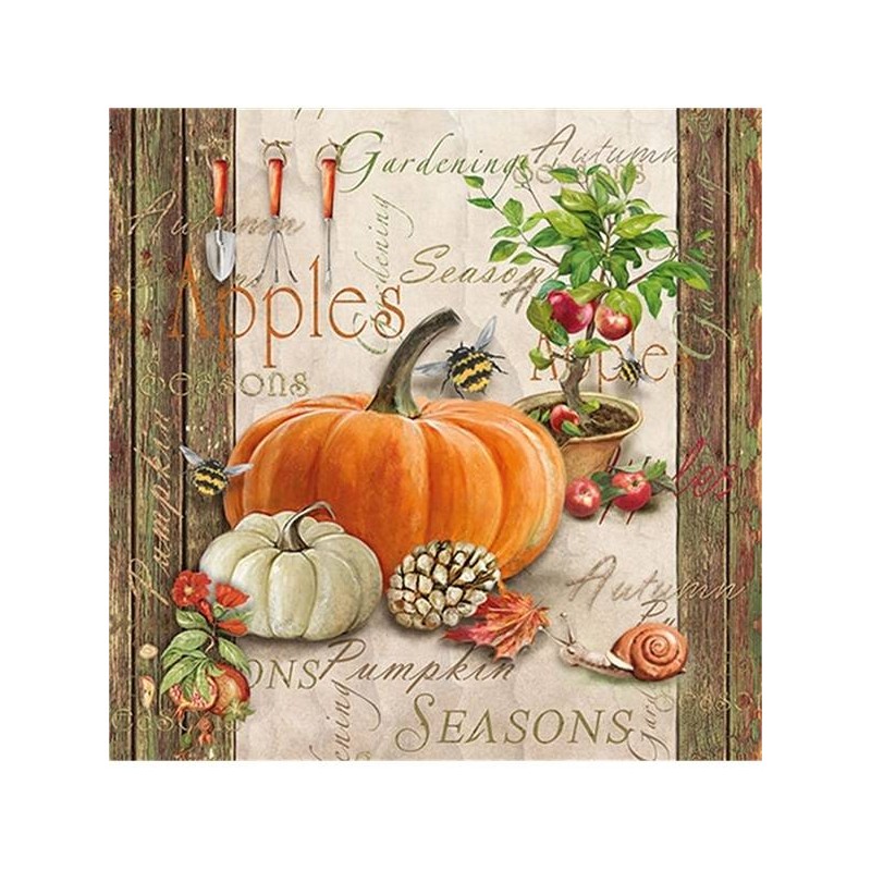 TOVAGLIOLI 33x33 AUTUMN GARDENING 20pz