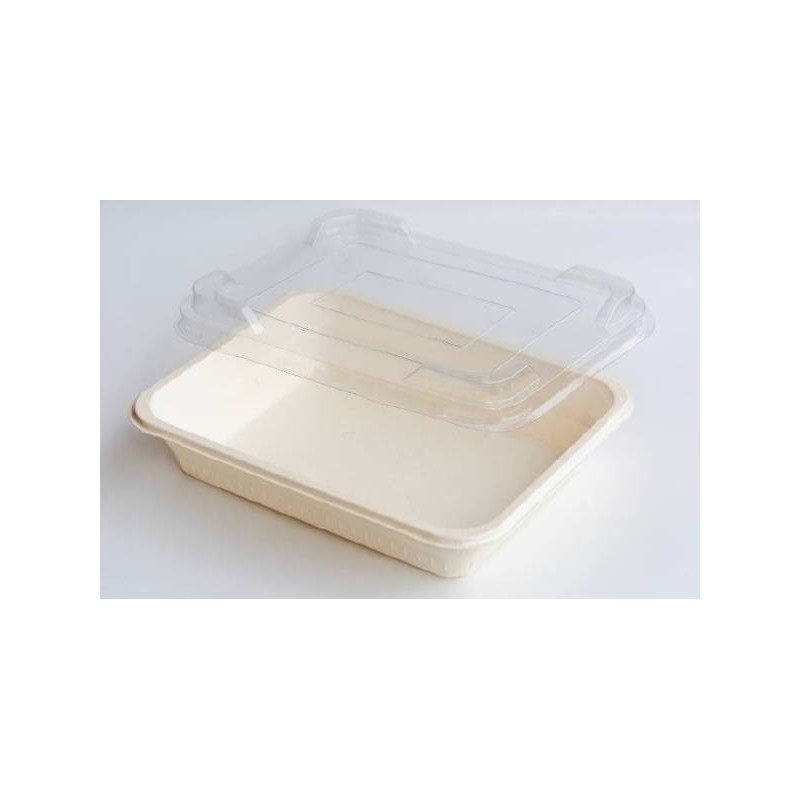 VASSOI ECOTRAY RETTANGOLARE CELLULOSA BIOLAMINATA 22,5x17,7x4,5cm 1300ml 110pz