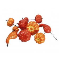 PICKS ZUCCHE ASS.TE 24pz