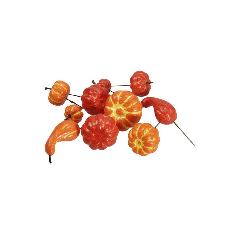 PICKS ZUCCHE ASS.TE 24pz