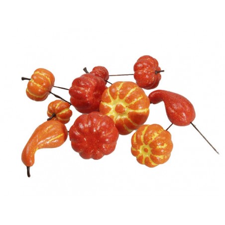 PICKS ZUCCHE ASS.TE 24pz