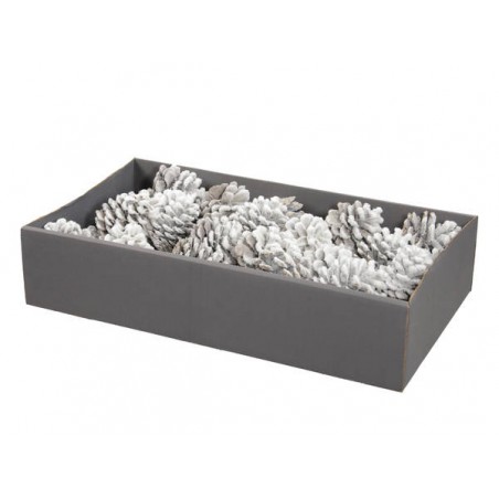 VASSOIO PIGNE AUSTRIACHE BIANCHE 45pz