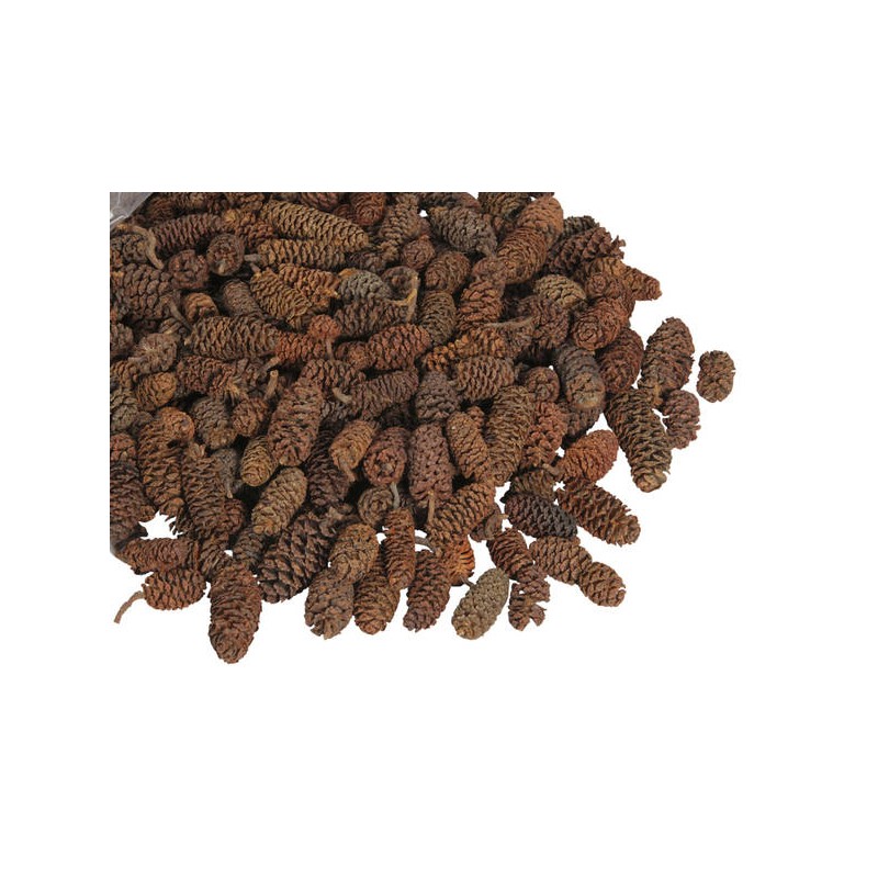 MINI PIGNE BUSTA 500gr