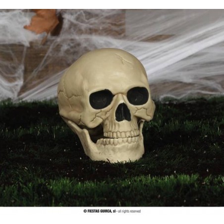 TESCHIO DECORATIVO 20cm