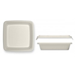 VASCHETTA POLPA QUADRATA 23x23x4cm 1500ml + COP. COMBO 20pz BIO COMPOSTABILE