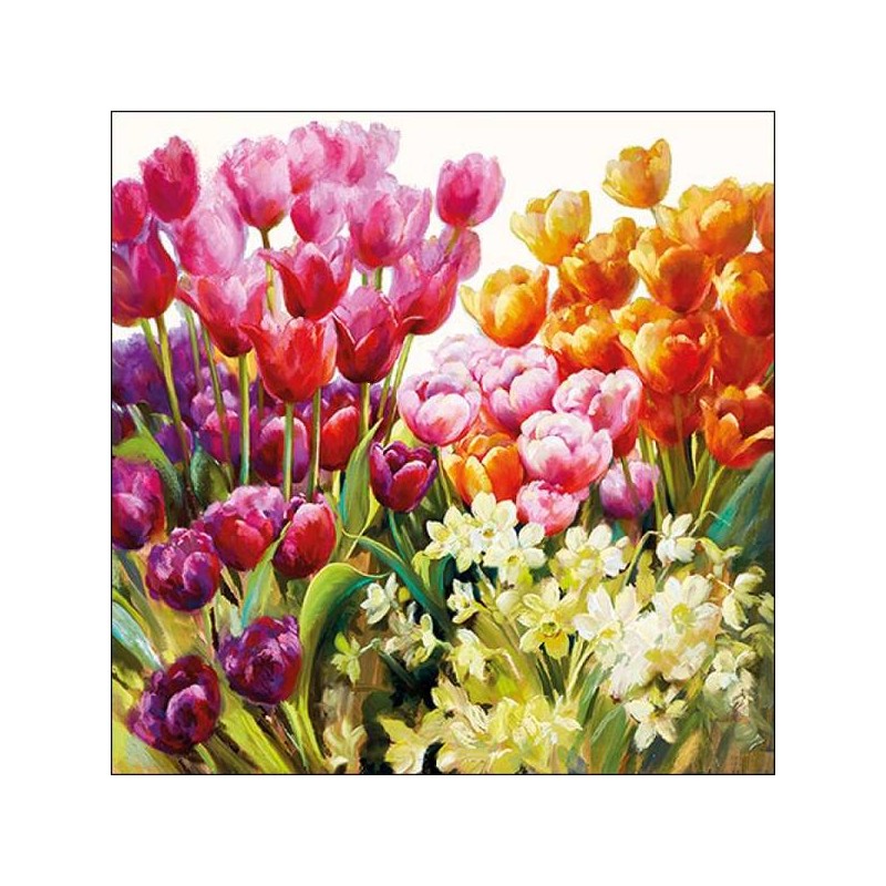 TOVAGLIOLI 33X33 TULIPS 20pz