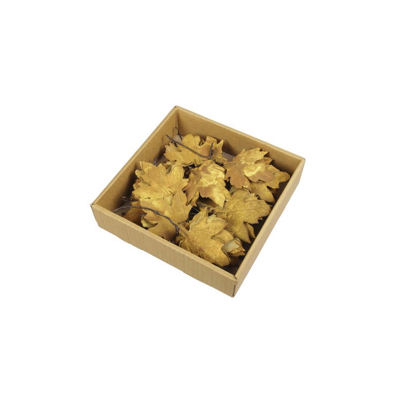 FOGLIE D'ACERO IN SCATOLA 24pz SENAPE