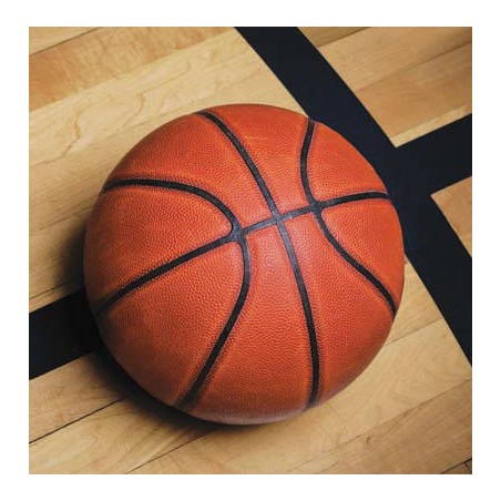 TOVAGLIOLO 33x33cm BASKET FANATIC 18pz