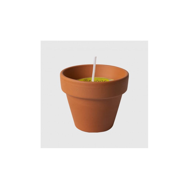 VASETTO CITRONELLA TERRACOTTA MINI ø6x7H