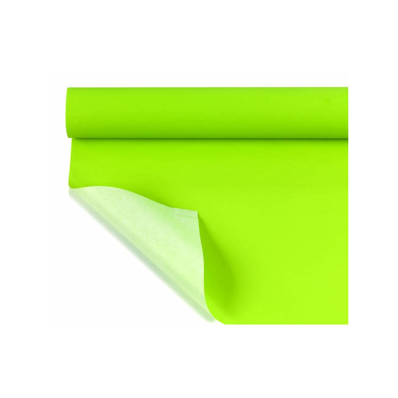 BOBINA CARTA WP KRAFT F/PIENO H.1x25mt 40-VERDE PASTELLO (resistente all'umido)