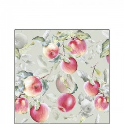 TOVAGLIOLI 25X25 FRESH APPLES GREEN 20pz