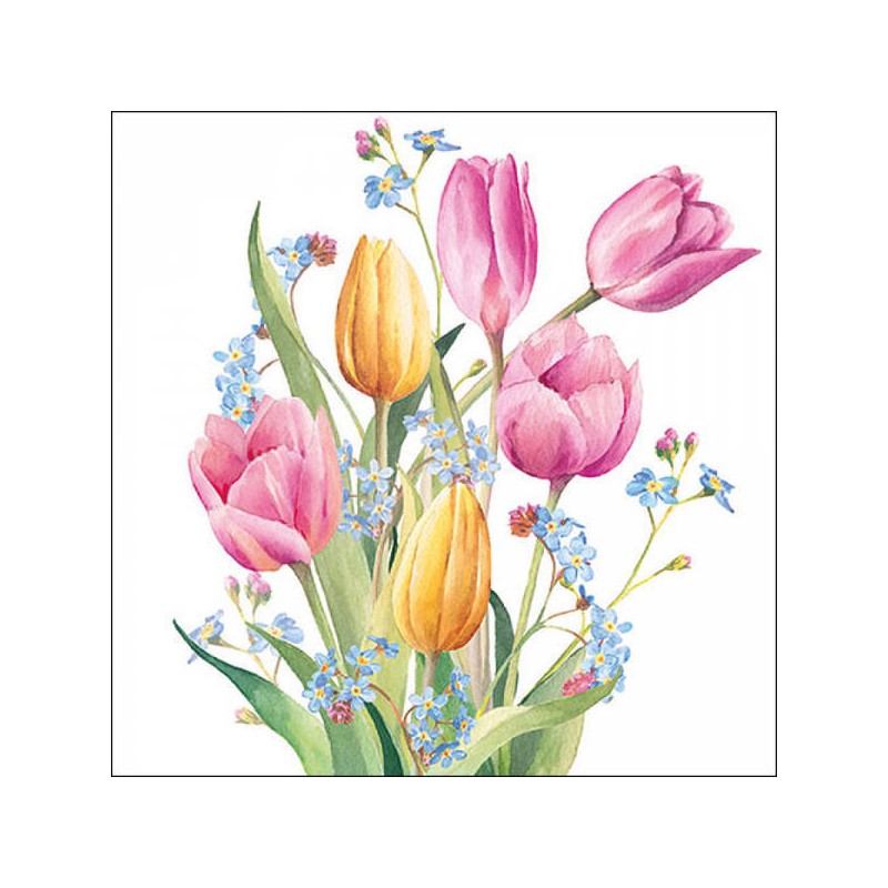 TOVAGLIOLI 33x33 BOUQUET TULIPANI 20pz