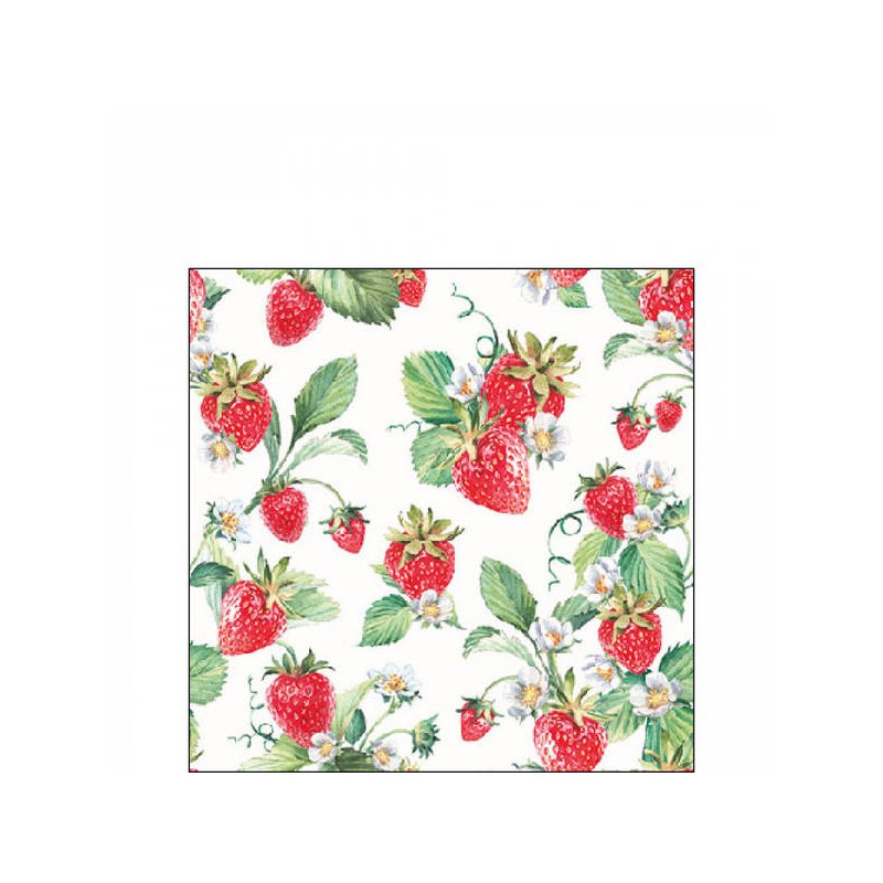TOVAGLIOLI 25x25 GIARDINO DI FRAGOLE 20pz