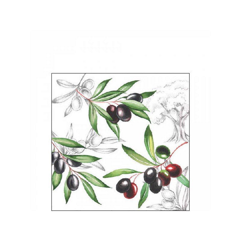 TOVAGLIOLI 25x25 OLIVE 20pz