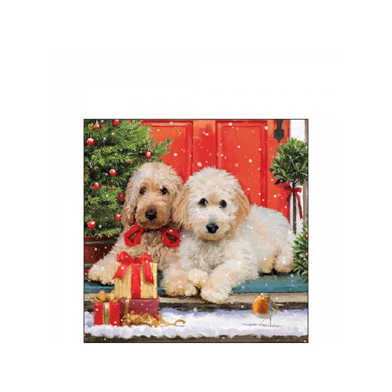 TOVAGLIOLI 25x25cm DOGS AT THE DOOR 20pz