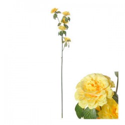 STELO RANUNCOLO GIALLO 70cm