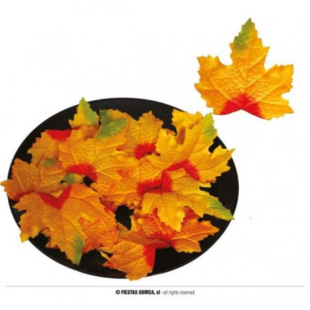 FOGLIE DI ZUCCA 9-10cm 24pz
