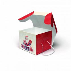 SCATOLA PORTA PANETTONE 22x22x18cm SANTA CLAUS