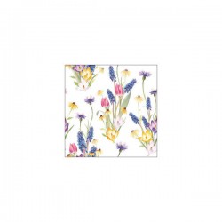 TOVAGLIOLI 33x33 HELLO SPRING 20pz