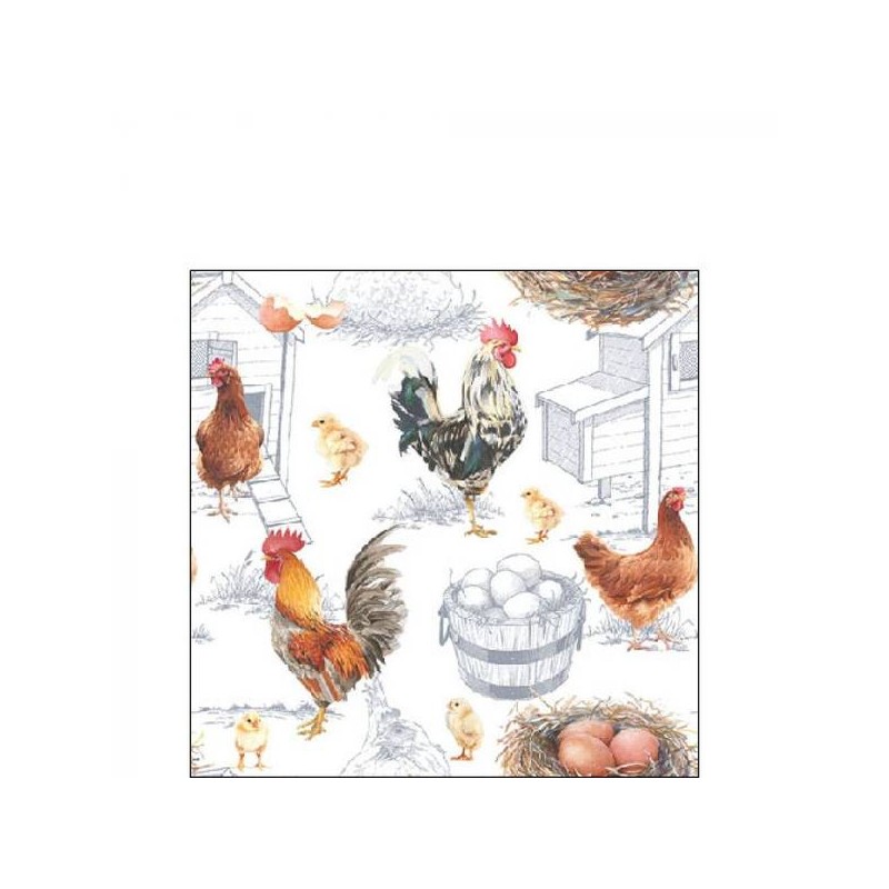 TOVAGLIOLI 25X25 GALLI FATTORIA 20pz