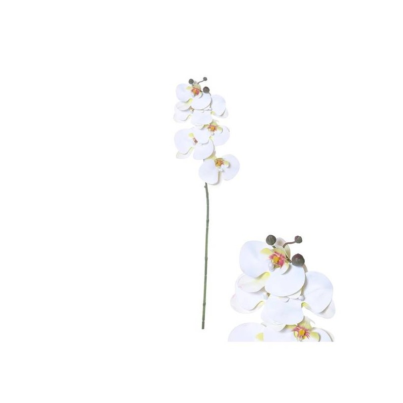 STELO PHALAENOPSIS BIANCO 80cm