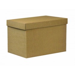 SCATOLA F/COPERCHIO LINEA 1300 49x34x33cm ONDA AVANA PORTATA 12kg