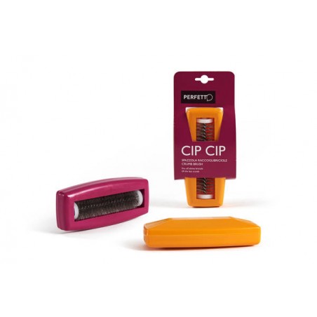 SPAZZOLA RACCOGLIBRICIOLE IN BLISTER