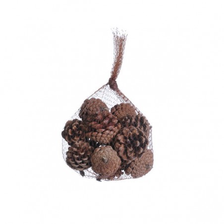 PIGNE NATURAL IN BUSTA 150gr