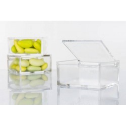 SCATOLA PLEXI 6x6x3cm C/COPERCHIO G3077 10pz