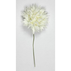 FIORE RAVELLO Ø6cm CREMA 12pz