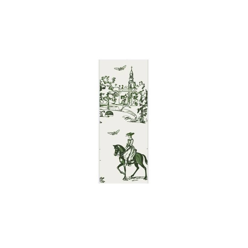 NASTRO TOILE DE JOUY mm38x15mt COL.11