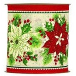 NASTRO STELLA NATALE mm100x10mt