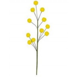 PICK MIMOSA FLOWERS 10,5X26,5cm