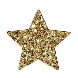 ADESIVO CHIUDIPACCO STAR GOLD 3xh2,5cm 36PZ