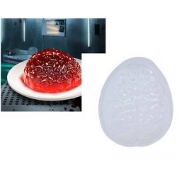 STAMPO CERVELLO PER GELATINA 22x18cm