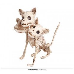 SCHELETRO CANE A 3 TESTE 34cm