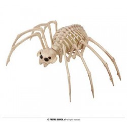 SCHELETRO TARANTOLA 35x20cm