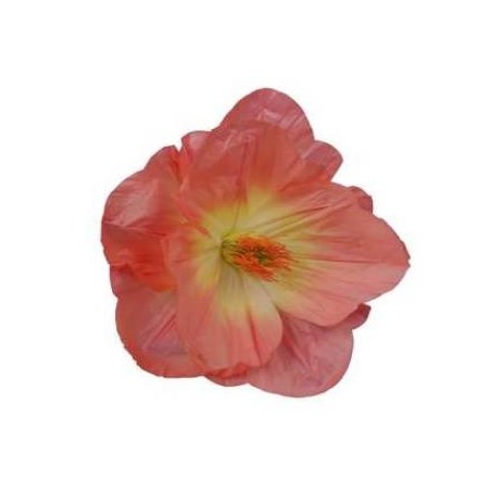 FIORE ROSA CHIARO CARTA Ø35x17cm