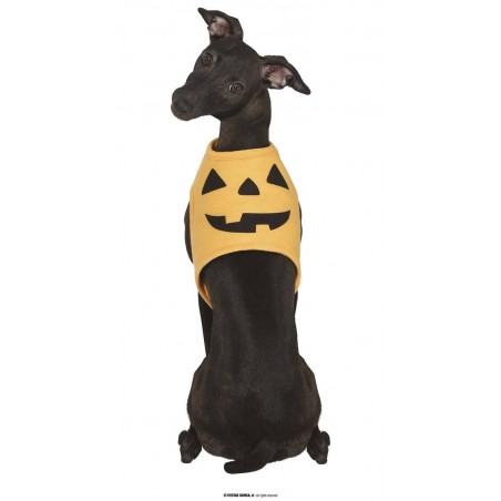 COSTUME DA ZUCCA PER CANI TAGLIA M