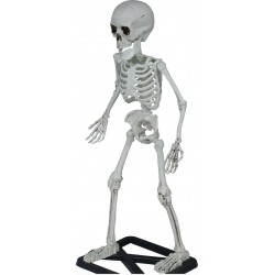 SCHELETRO IN PIEDI 55cm